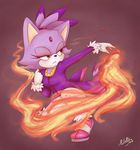  blaze_the_cat female ritelly solo sonic_(series) tagme 