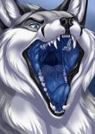 2017 anthro black_fur black_lips black_markings black_nose blue_background blue_eyes blue_tongue canine digital_media_(artwork) eyebrows facial_markings fangs fox front_view fur gaping_mouth grey_fur headshot_portrait hi_res ifus kelevra lips male mammal markings mouth_shot multicolored_fur open_mouth portrait saliva signature simple_background solo teeth tongue white_fur 