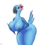 anthro avian big_breasts bird blue_macaw breasts butt female jewel_(rio) macaw nipples nude parrot r-rova rio solo 