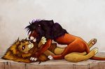  anchee feline feral lion male male/male mammal 