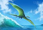  cloud dragon feral flying horn male outside rotarr smile solo watermark wave wings 