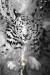  2017 ambiguous_gender digital_media_(artwork) digital_painting_(artwork) eyes_closed feline flashw fur greyscale mammal monochrome paws solo tiger whiskers white_fur 