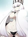  blue_eyes breasts capelet crotch_plate eyebrows_visible_through_hair goma_(gomasamune) hat highres kantai_collection large_breasts long_hair navel northern_water_hime shinkaisei-kan solo translated white_hair 