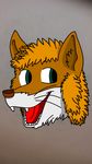  2017 brown_fur canine fox fur green_eyes horfoxplanet looking_at_viewer male mammal simple_background solo 