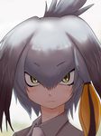  close-up closed_mouth expressionless eyebrows_visible_through_hair hair_between_eyes head_wings highres ikkyuu kemono_friends looking_at_viewer low_ponytail md5_mismatch necktie official_style portrait shoebill_(kemono_friends) side_ponytail silver_hair solo wing_collar yoshizaki_mine_(style) 