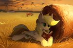  book cutie_mark day detailed_background equine fan_character feathered_wings feathers feral fur grass hat hioshiru hooves mammal my_little_pony outside pegasus reading smile solo white_feathers white_fur wings yellow_eyes 