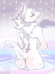  anthro butt canine cloud female fur grungecandy mammal nude partially_submerged smile solo standing 
