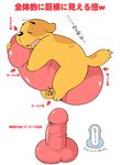  anthro canine cub dog drooling eyes_closed inflatable male mammal penis penis_shaped_object saliva wantaro young 