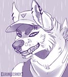  anthro bandanna canine facial_piercing fur grungecandy hat looking_at_viewer male mammal nose_piercing piercing purple_theme smile solo 