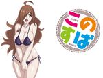  bikini breasts kono_subarashii_sekai_ni_shukufuku_wo! large_breasts wiz_(konosuba) 