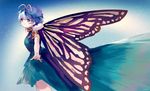  ainy77 blue_hair butterfly_wings commentary_request eternity_larva highres night night_sky sky solo star touhou wings 