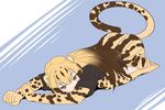  animal_ears blonde_hair boots brown_hair cheetah_ears cheetah_tail commentary_request gloves kemono_friends king_cheetah_(kemono_friends) long_hair momosuke_(ishakry) multicolored_hair solo tail thighhighs two-tone_hair yellow_eyes 