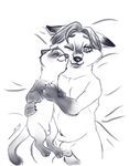  bed canine disney ferret flaccid fox gerardson gideon_grey male male/male mammal mustelid on_bed penis travis zootopia 