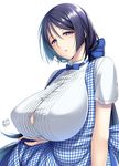  ai-chan_(tawawa) ai-chan_(tawawa)_(cosplay) alternate_costume apron blue_bow blue_neckwear blue_skirt bow bowtie breasts bursting_breasts button_gap cosplay fate/grand_order fate_(series) getsuyoubi_no_tawawa gigantic_breasts hair_bow half-closed_eyes highres huge_breasts koubeya_uniform long_hair looking_at_viewer looking_to_the_side minamoto_no_raikou_(fate/grand_order) parted_lips plaid plaid_apron ponytail purple_eyes purple_hair shirt short_sleeves signature simple_background skirt skirt_lift solo suzuki_nene tied_hair underbust very_long_hair white_background white_shirt 
