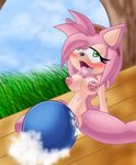  amy_rose chaossabre sonic_team sonic_the_hedgehog tagme 