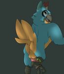  2017 animal_genitalia animal_penis anthro avian balls bird botw butt claws digital_media_(artwork) erection feathered_wings feathers fish-ears invalid_tag kass looking_at_viewer looking_back male nintendo nude penis simple_background smile solo video_games wings 