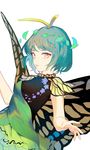  butterfly_wings commentary_request dress eternity_larva foreshortening from_side green_dress green_hair hair_ornament highres hillly_(maiwetea) leaf_hair_ornament looking_at_viewer looking_to_the_side parted_lips short_hair short_sleeves smile solo touhou upper_body wings yellow_eyes 