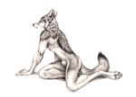 animal_genitalia anthro canine kenket looking_at_viewer male mammal nude sheath solo tongue 