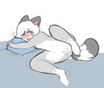  anthro bed bedding bee_the_cat blanket blush cat cum cum_drip cum_inside dripping feline female flat_chested fur green_eyes grey_fur hair mammal pillow pussy qtipps solo tears tongue tongue_out white_fur white_hair 