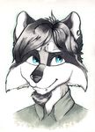  2017 anthro beard black_hair black_nose blue_eyes clothed clothing ear_piercing facial_hair fur hair looking_at_viewer male mammal markers piercing portrait raccoon simple_background smile solo traditional_media_(artwork) white_background white_hair wunderknodel 