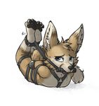  2017 akasch alec8ter anthro arms_tied bit_gag blue_eyes bondage_gloves bound canine drooling fox fully_bound gag gagged hands_behind_back inner_ear_fluff legs_tied looking_at_viewer lying male mammal nude on_front saliva signature simple_background solo white_background 