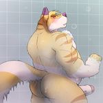  2017 anthro biceps big_tail biped blush brown_fur brown_stripes butt canine detailed_background digital_media_(artwork) ear_markings erection facial_markings fox fur head_tuft holding_object humanoid_penis inside long_tail looking_back male mammal markings multicolored_tail muscular muscular_male nude overweight overweight_male penis purple_eyes purple_fur purple_markings purple_nose rear_view shower showering skai skaifox snout soap solo sponge standing striped_fur stripes two_tone_tail uncut vein veiny_penis water wet wet_fur wet_tail white_fur white_penis white_tail yellow_fur yellow_tail 
