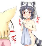  aikawa_ryou animal_ears black_hair blonde_hair blood blush breasts collarbone commentary common_raccoon_(kemono_friends) extra_ears eyebrows_visible_through_hair fennec_(kemono_friends) fox_ears grey_hair highres kemono_friends looking_at_another medium_breasts multicolored_hair multiple_girls nosebleed nude open_mouth raccoon_ears raccoon_tail red_eyes short_hair simple_background striped_tail tail towel white_background white_hair yuri 