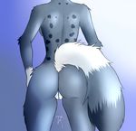  2017 anthro big_tail biped butt cat clitoris digital_media_(artwork) faceless_female feline female fluffy fluffy_tail fur gradient_background grey_fur grey_tail hi_res long_tail mammal multicolored_fur multicolored_tail nude pussy rear_view signature simple_background solo terrorkat white_fur white_tail 