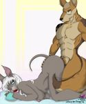  anthro ass_up badart_(artist) canine duo erection female jewelry kneeling male male/female mammal muscular necklace nude open_mouth sex the--jackal 