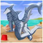  2017 aaron_(artist) anthro arm_support balls beach bedroom_eyes big_penis blue_stripes bucket butt claws clenched_teeth clothing cloud detailed_background diphallism dorsal_fin erection fin fish footwear grey_skin grey_tail half-closed_eyes huge_penis humanoid_penis jake_(aaron) looking_at_viewer looking_back male marine multi_penis multicolored_skin multicolored_tail muscular muscular_male nude orange_eyes penis pink_penis pose precum raised_tail sand sandals sea seaside seductive shark side_view sign sky smile snout solo stripes sunny teeth thick_penis thick_tail toe_claws two_tone_skin two_tone_tail vein veiny_penis water white_balls white_skin white_tail 