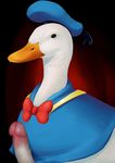  avian bird bow bow_tie circumcised disney donald_duck duck edit hat male penis photo_manipulation sailor_hat solo unknown_artist what_has_science_done 