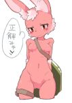  1girl animal_ears blush breasts bunny_ears character_request female furry nude simple_background small_breasts solo tomatojam white_background zakuzaku_actors 