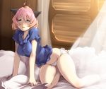  animal_ears bad_id bad_pixiv_id blonde_hair blue_eyes blush breasts gradient_hair honihoni large_breasts multicolored_hair older panties pink_hair potemayo potemayo_(character) shirt short_hair sitting solo taut_clothes taut_shirt underwear 