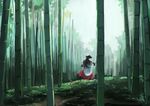  animal_ears back bamboo bamboo_forest brown_hair capelet commentary_request day dress forest from_side ichiba_youichi imaizumi_kagerou landscape long_hair long_sleeves looking_back nature outdoors solo touhou wolf_ears 