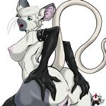  anthro anus badart_(artist) breasts butt female looking_back mammal mouse nipples open_mouth pussy rodent rubber solo 
