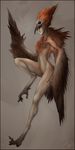  avian brown_eyes brown_feathers charlottechambers digital_media_(artwork) feathers female harpy solo wide_hips 