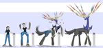  2015 absurd_res clothing digital_media_(artwork) eyewear footwear glasses growth hi_res human_to_feral legendary_pok&eacute;mon nintendo orb pants podium pok&eacute;mon sequence shoes simple_background tail_growth tfsubmissions transformation video_games xerneas 