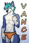  badge bulge canine clothed clothing folf fox girly hybrid istricer male mammal panties pinup pose solo topless tsaiwolf underwear wolf 