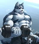  2017 abs anthro biceps big_muscles canine fur hi_res male mammal muscular muscular_male pecs solo waddledox 