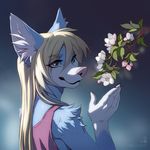  5_fingers anthro blonde_hair blue_eyes canine clothed clothing digital_media_(artwork) dog female fur gradient_background hair inner_ear_fluff mammal melloque pink_nose simple_background smile solo white_fur 