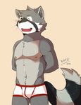  black_fur boxers_(clothing) brown_eyes bulge clothing fur grey_fur hands_behind_back hittoga male mammal navel nipples open_mouth raccoon solo standing underwear whiskers white_fur 