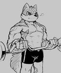  2017 abs anthro biceps black_and_white canine clothed clothing dog frostbite_(waddledox) fur hi_res husky male mammal monochrome muscular muscular_male pecs simple_background solo topless waddledox 