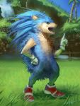  absurd_res anthro arvalis clothing detailed eulipotyphlan footwear gloves hedgehog hi_res male mammal realistic shoes solo sonic_(series) sonic_the_hedgehog 