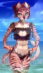  anthro beach bikini black_gargoyley breasts clothed clothing feline female looking_at_viewer mammal outside seaside smile solo standing swimsuit 
