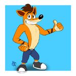 bandicoot bleuxwolf clothed clothing crash_bandicoot crash_bandicoot_(series) male mammal marsupial solo video_games 