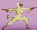  2017 afghan_hound anthro black_nose breasts canine dog female madeline_de_fleur mammal navel nipples nude pussy solo vkyrie 