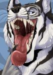 absurd_res anthro blue_eyes bodily_fluids brown_stripes bust_portrait canid fangs front_view fur grey_body grey_fur hi_res imperatorcaesar inner_ear_fluff looking_aside male mammal mouth_shot narrowed_eyes no_sclera open_mouth portrait red_tongue saliva saliva_on_tongue saliva_string simple_background solo stripes teeth tongue tongue_out tuft uvula whiskers white_body white_fur white_inner_ear_fluff