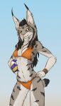 absurd_res anthro ball bikini clothing felid feline female hi_res lynx mammal mira_(spectronic) solo spectronic swimwear