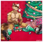 absurd_res anthro christmas christmas_clothing christmas_headwear christmas_present christmas_tree clothing fur gift headgear headwear hi_res holidays male mammal merry_christmas midnight_blue muscular muscular_anthro muscular_male nipples nude plant procyonid raccoon simple_background sitting smile solo text tree