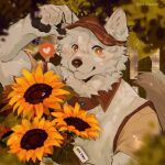 &lt;3 1:1 5_fingers anthro canid canine canis fingers flower fluffy fur furgonomic_hat hi_res kenikami looking_at_viewer male mammal orange_eyes plant solo sunflower white_body white_fur wolf